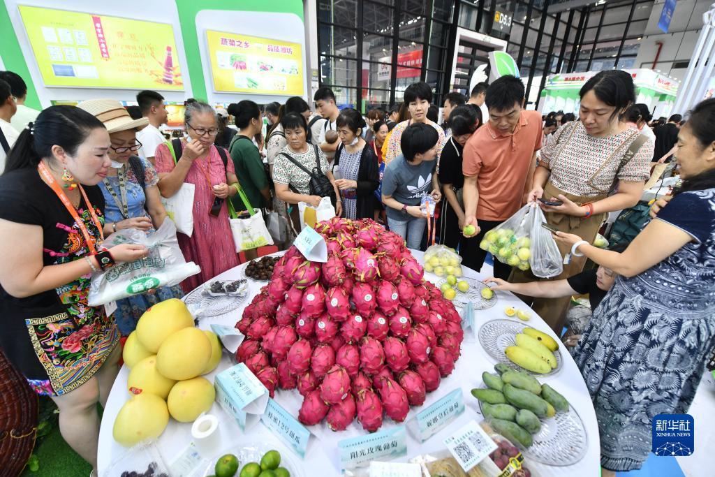五龙争霸下载